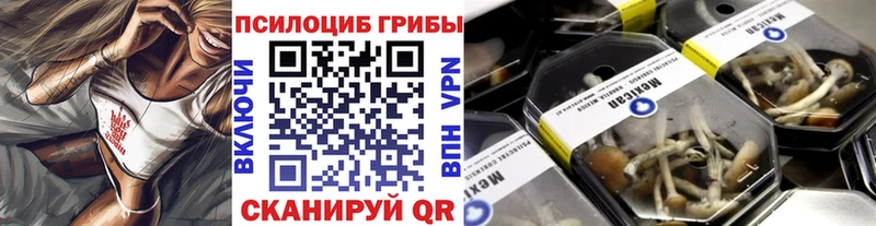 Галлюциногенные грибы Psilocybine cubensis  ОМГ ОМГ   Николаевск-на-Амуре 
